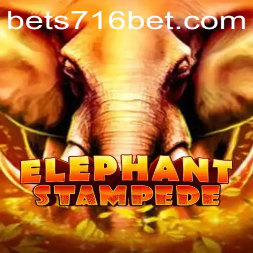 Discover the Thrills of ElephantStampede: Your Guide to the Ultimate Gaming Experience